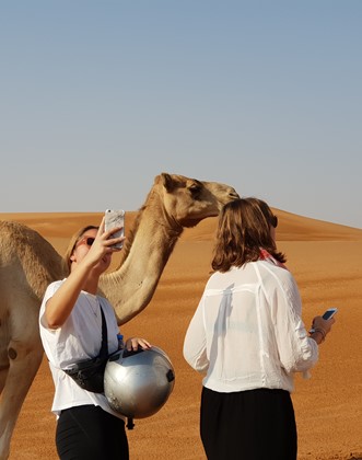 1hr Hour Dune Buggy Desert Safari with Desert Camp Dinner Tour Image