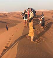 Dubai Desert Safari Review